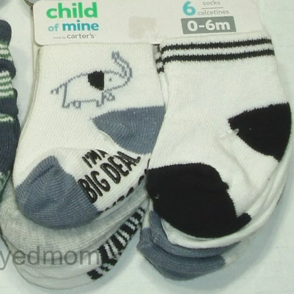 Baby Boys Socks Shoes Dinosaur 13 Items Mighty Cute a Saurus I'm a Big Deal 0/3M